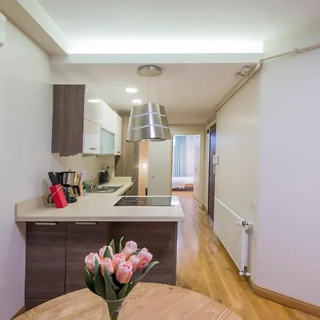 Modern 2 Bedroom Duplex With Garden In Cihangir Daire *