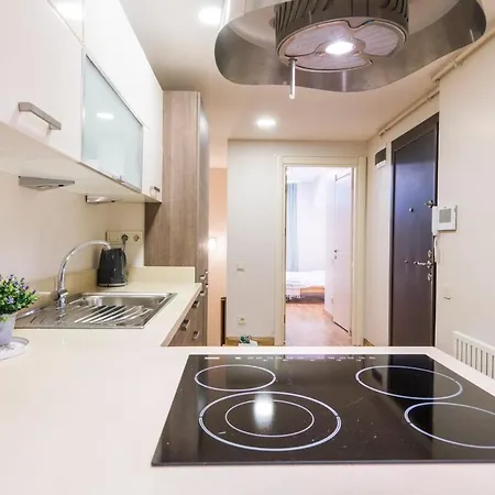 Modern 2 Bedroom Duplex With Garden In Cihangir