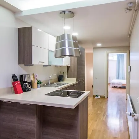 Modern 2 Bedroom Duplex With Garden In Cihangir Apartment *